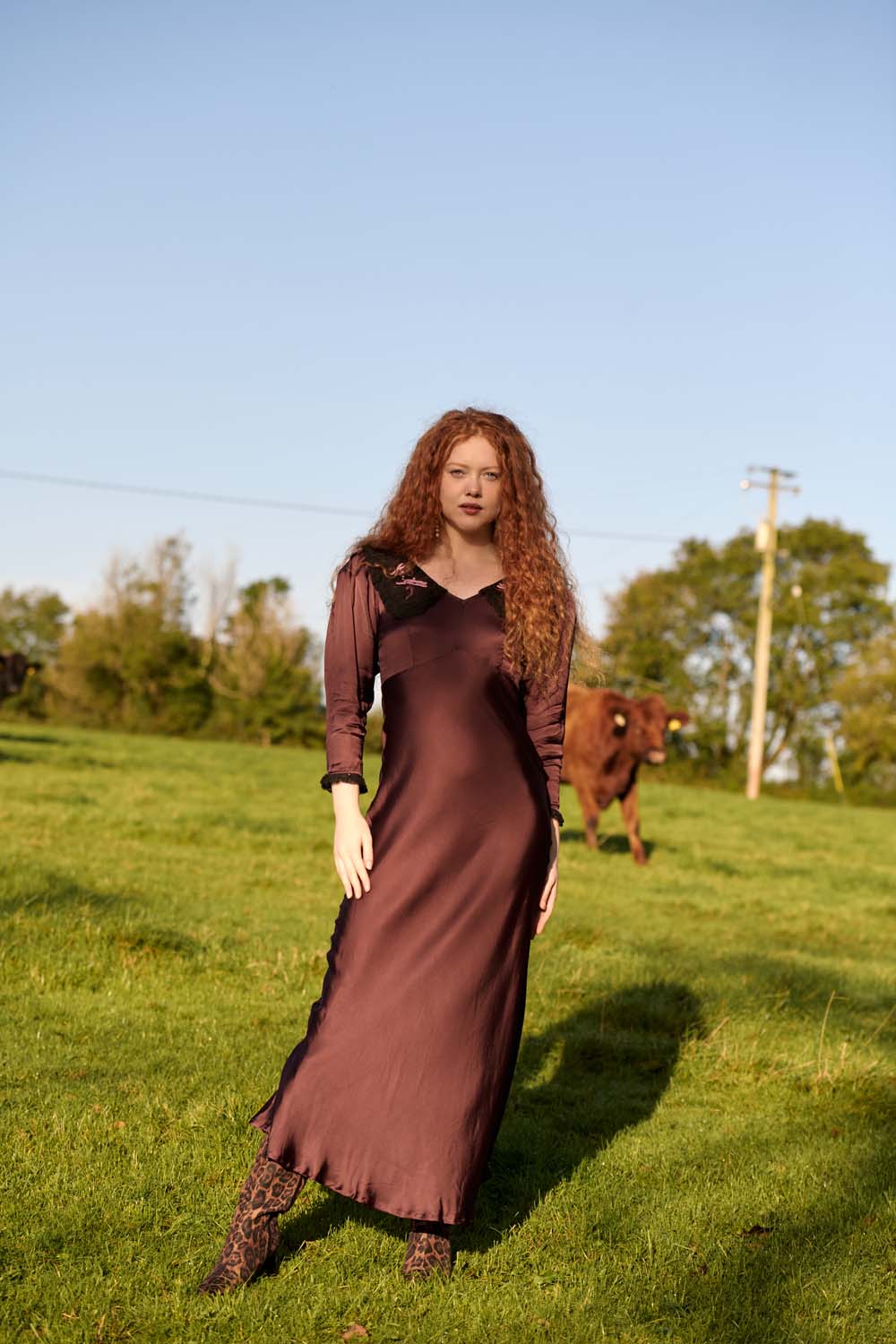 Edith Dress in Chocolate Brown