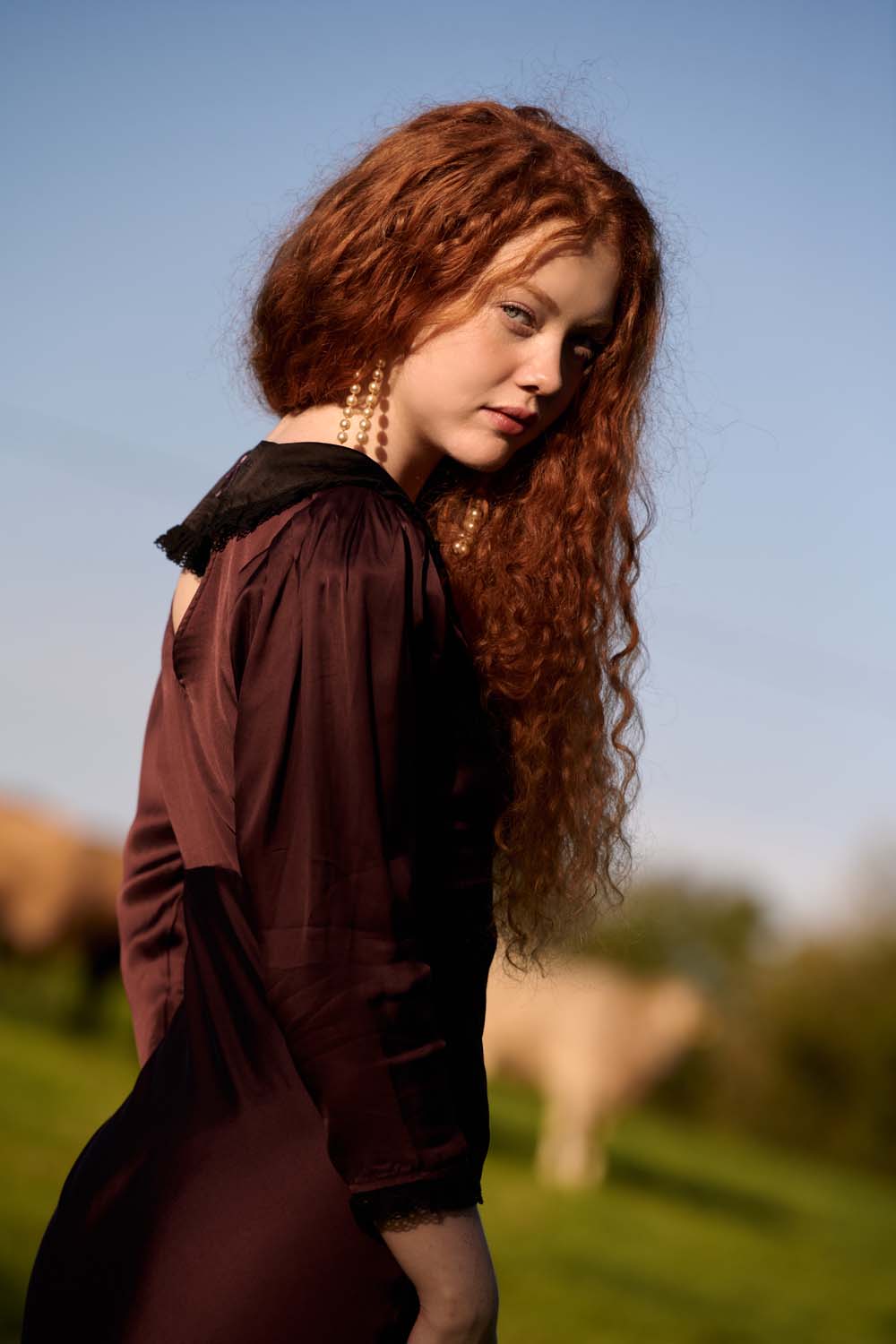 Edith Dress in Chocolate Brown